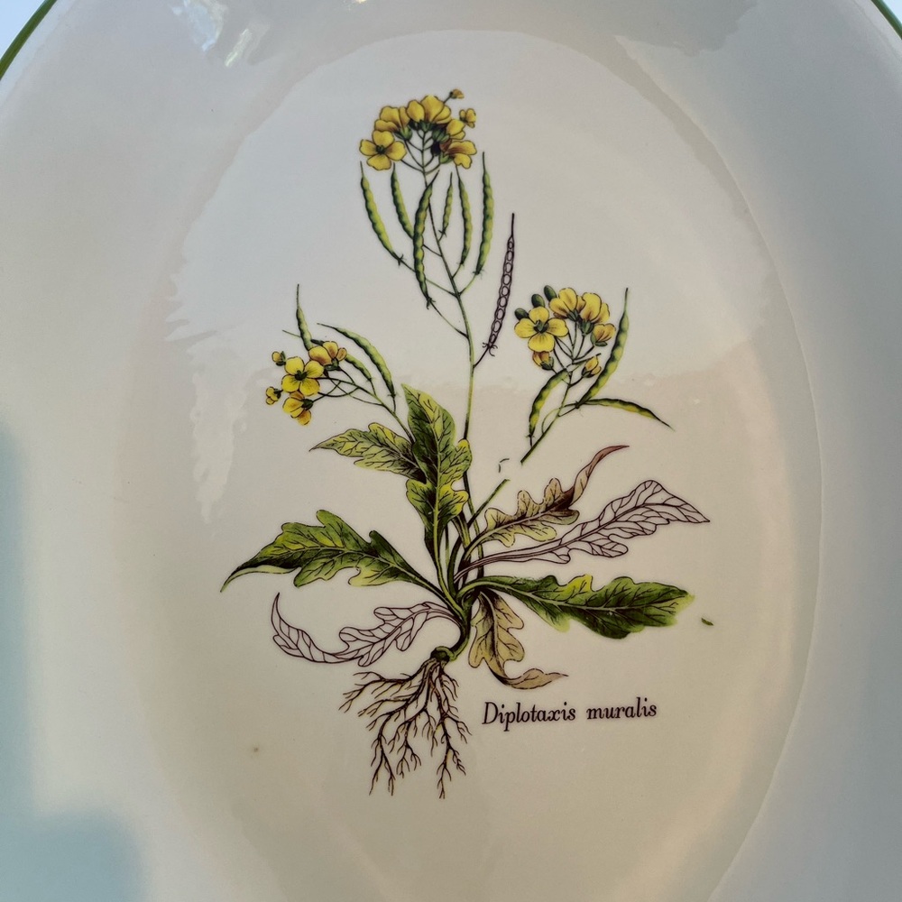 Vintage Italian Large Ceramic Bowl/Platter Featuring a Botanical Illustration - Picture 2 of 9